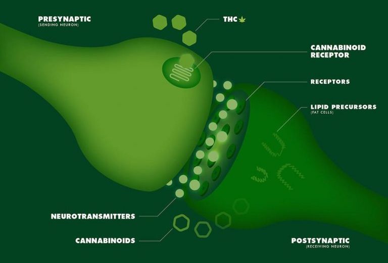 As CBD Oil Benefits Become More Apparent, Accessibility and Affordability Still an Issue in Some Areas As CBD Oil Benefits Become More Apparent, Accessibility and Affordability Still an Issue in Some Areas