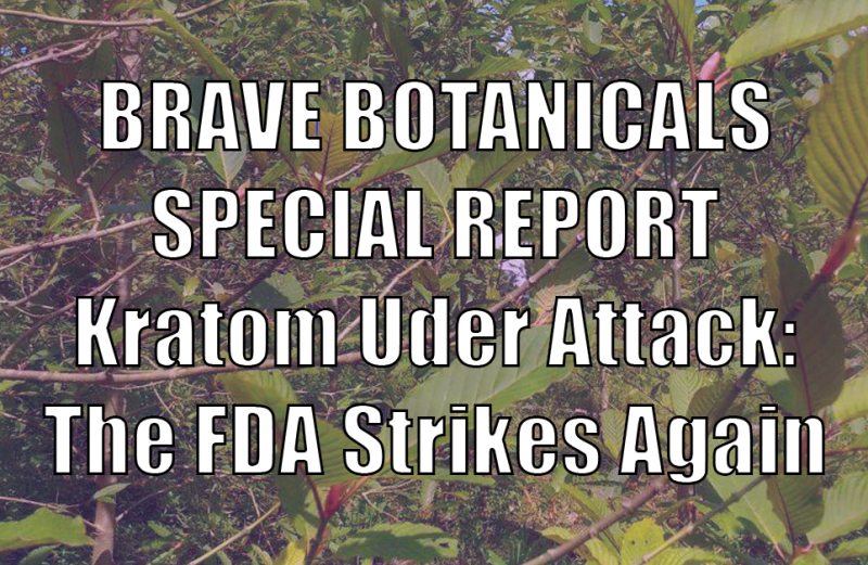 Brave Botanicals Special Report – Kratom Under Attack: the FDA Strikes Again